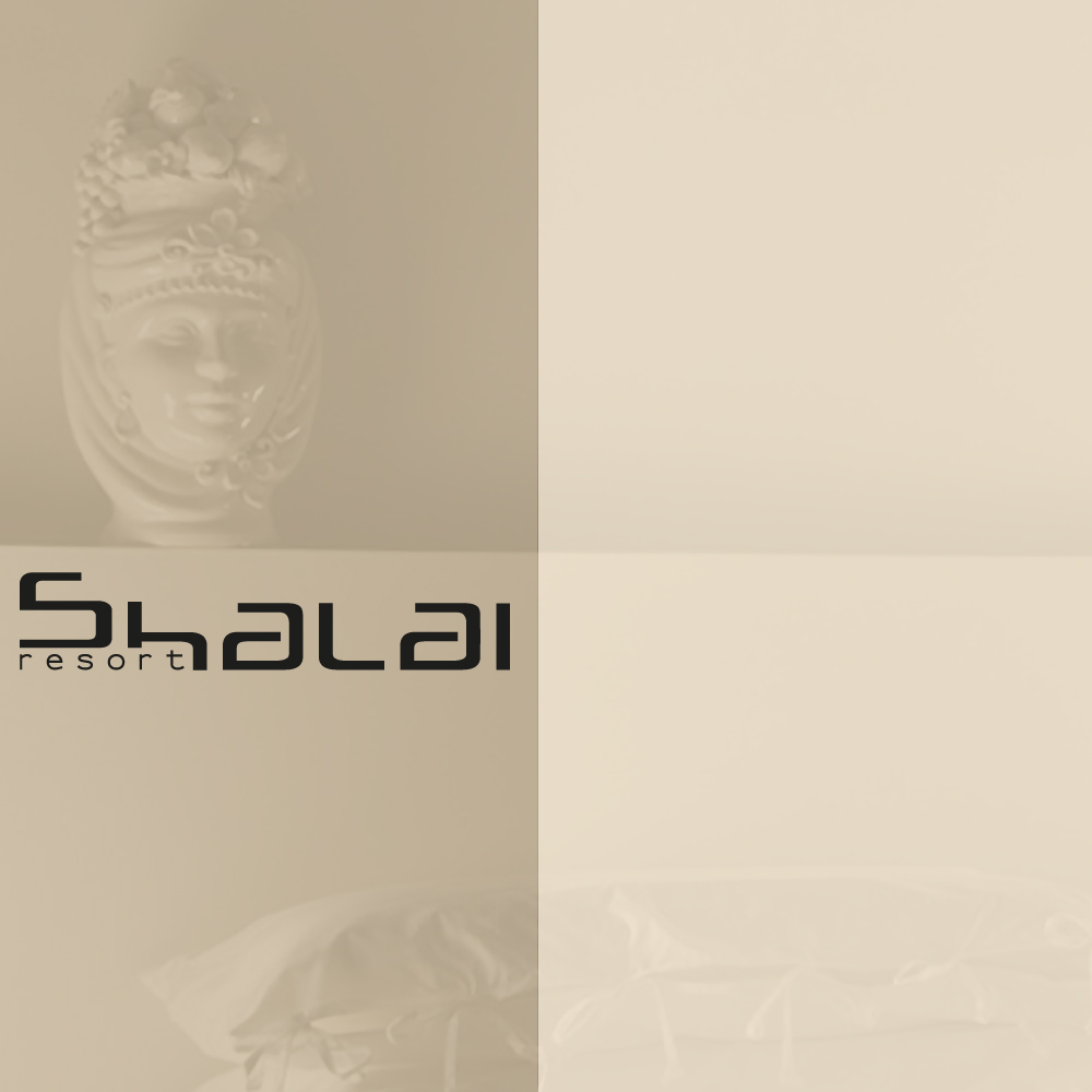 shalai-coper-pressh24